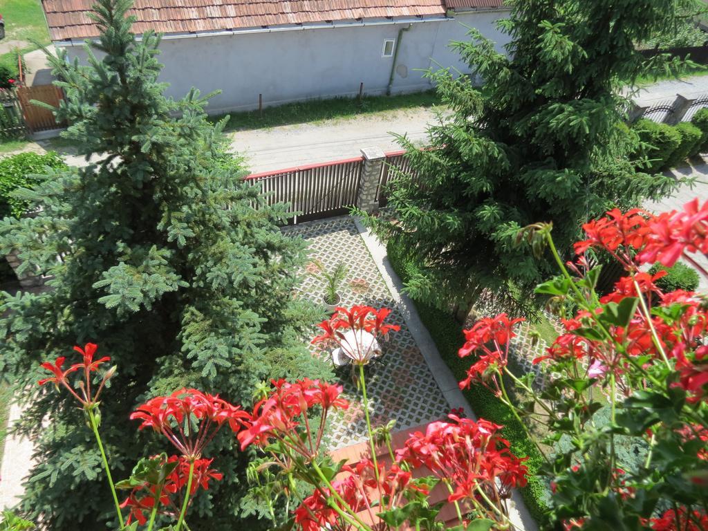 Csaki Vendeghaz Bed & Breakfast Sovata Exterior photo