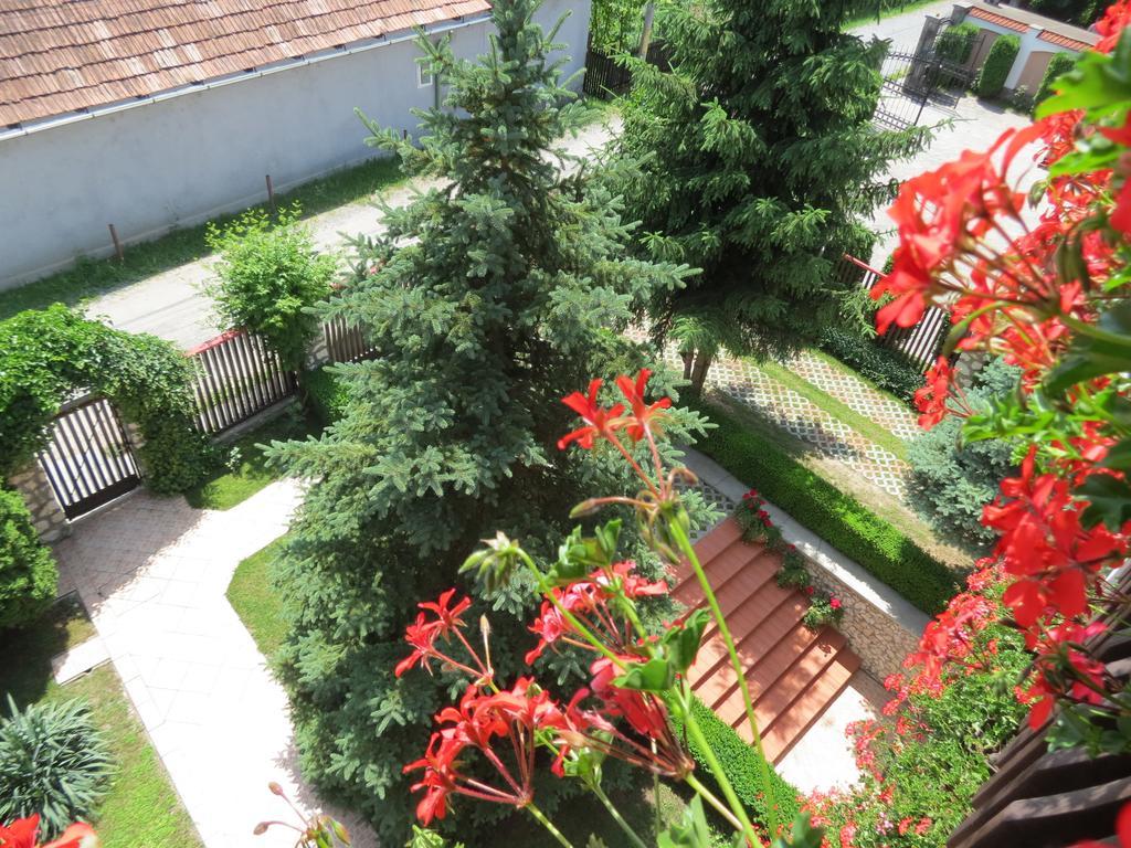 Csaki Vendeghaz Bed & Breakfast Sovata Exterior photo