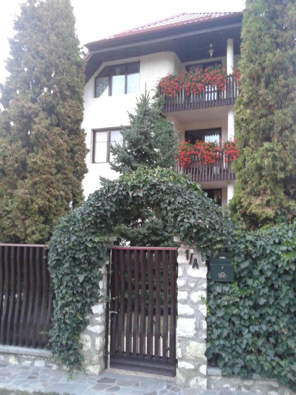 Csaki Vendeghaz Bed & Breakfast Sovata Exterior photo