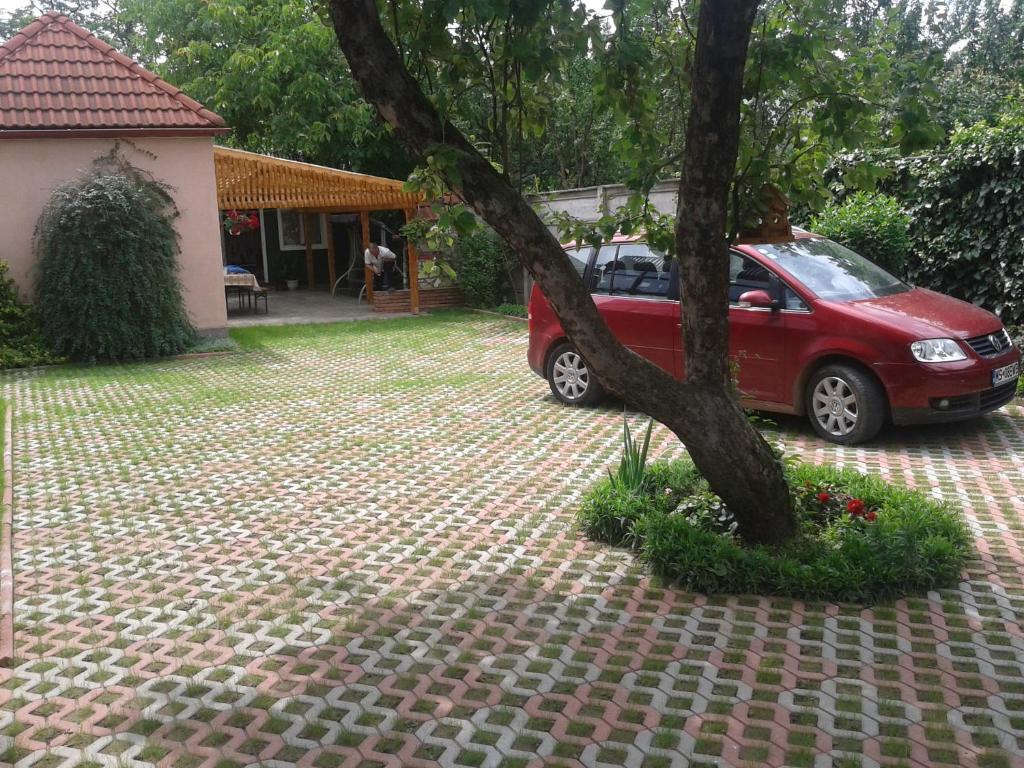 Csaki Vendeghaz Bed & Breakfast Sovata Exterior photo