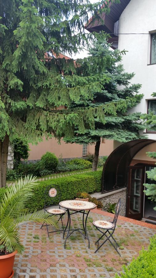 Csaki Vendeghaz Bed & Breakfast Sovata Exterior photo
