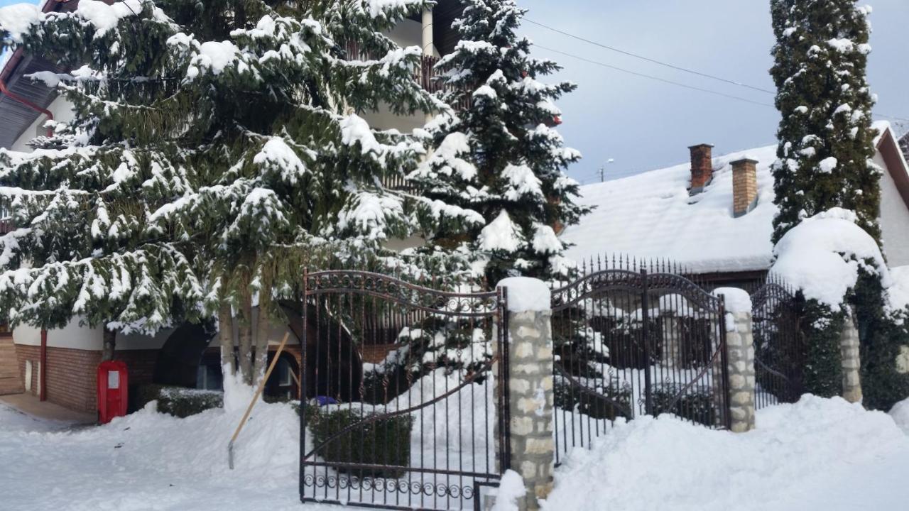 Csaki Vendeghaz Bed & Breakfast Sovata Exterior photo